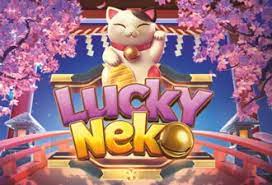 lucky neko